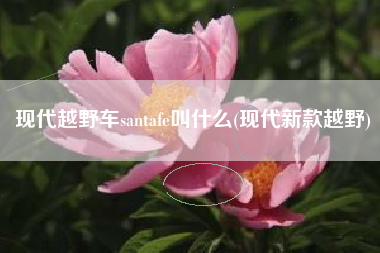 现代越野车santafe叫什么(现代新款越野)