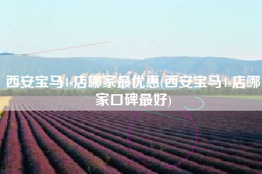 西安宝马4s店哪家最优惠(西安宝马4s店哪家口碑最好)