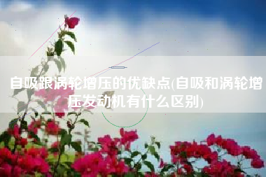 自吸跟涡轮增压的优缺点(自吸和涡轮增压发动机有什么区别)