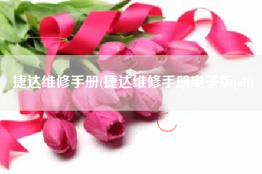捷达维修手册(捷达维修手册电子版pdf) 捷达维修手册(捷达维修手册电子版pdf)