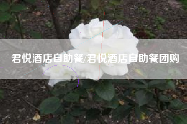 君悦酒店自助餐/君悦酒店自助餐团购 君悦酒店自助餐/君悦酒店自助餐团购