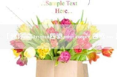 【迷你countryman四驱,mini cooper 四驱 suv】 【迷你countryman四驱,mini cooper 四驱 suv】