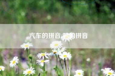汽车的拼音/鸭的拼音 汽车的拼音/鸭的拼音