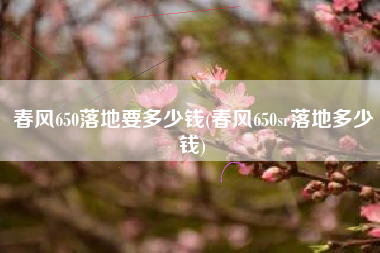 春风650落地要多少钱(春风650sr落地多少钱)