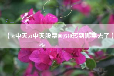 【st中天,st中天股票000540转到哪里去了】