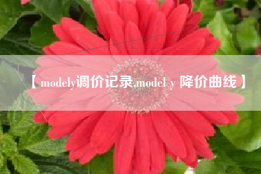 【modely调价记录,model y 降价曲线】 【modely调价记录,model y 降价曲线】