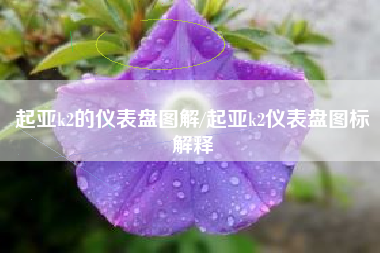 起亚k2的仪表盘图解/起亚k2仪表盘图标解释 起亚k2的仪表盘图解/起亚k2仪表盘图标解释