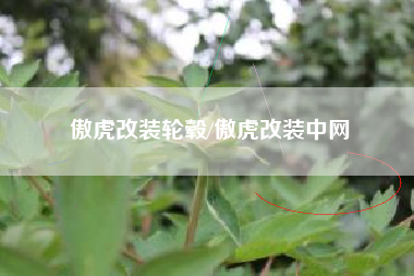 傲虎改装轮毂/傲虎改装中网