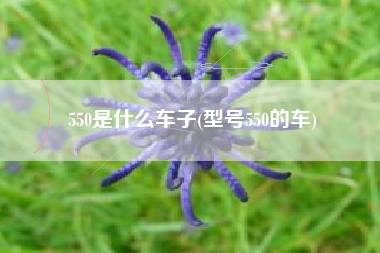 550是什么车子(型号550的车)