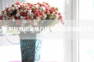 东风标致销量排行榜/东风标致销量下降 东风标致销量排行榜/东风标致销量下降