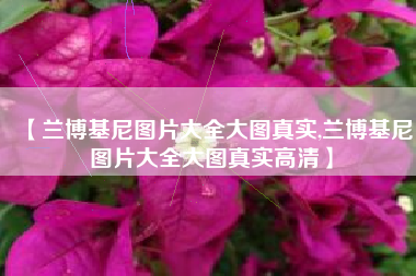 【兰博基尼图片大全大图真实,兰博基尼图片大全大图真实高清】