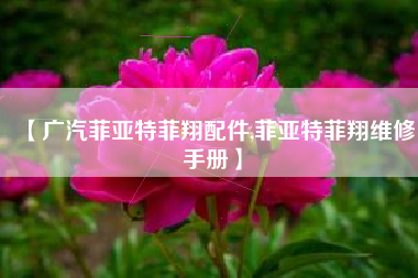 【广汽菲亚特菲翔配件,菲亚特菲翔维修手册】 【广汽菲亚特菲翔配件,菲亚特菲翔维修手册】