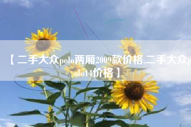 【二手大众polo两厢2009款价格,二手大众polo14价格】