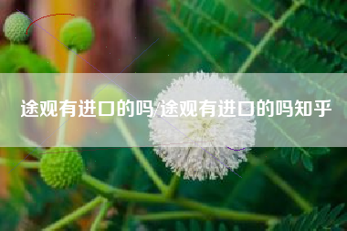 途观有进口的吗/途观有进口的吗知乎 途观有进口的吗/途观有进口的吗知乎