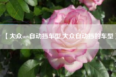 【大众suv自动挡车型,大众自动挡的车型】 【大众suv自动挡车型,大众自动挡的车型】