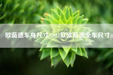 欧蓝德车身尺寸/2021款欧蓝德全车尺寸