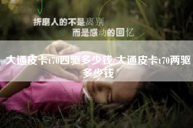 大通皮卡t70四驱多少钱/大通皮卡t70两驱多少钱