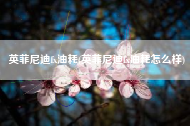 英菲尼迪fx油耗(英菲尼迪fx油耗怎么样) 英菲尼迪fx油耗(英菲尼迪fx油耗怎么样)