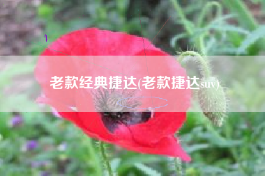 老款经典捷达(老款捷达suv) 老款经典捷达(老款捷达suv)