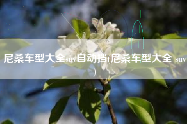 尼桑车型大全suv自动挡(尼桑车型大全 suv) 尼桑车型大全suv自动挡(尼桑车型大全 suv)