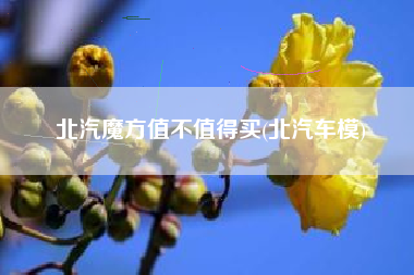 北汽魔方值不值得买(北汽车模)