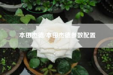 本田杰德/本田杰德参数配置 本田杰德/本田杰德参数配置