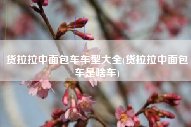 货拉拉中面包车车型大全(货拉拉中面包车是啥车) 货拉拉中面包车车型大全(货拉拉中面包车是啥车)