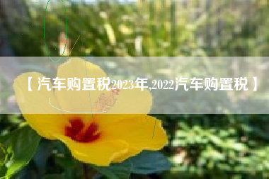 【汽车购置税2023年,2022汽车购置税】