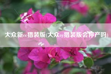 大众新cc猎装版(大众cc猎装版会停产吗) 大众新cc猎装版(大众cc猎装版会停产吗)