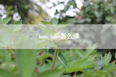 have/have怎么读