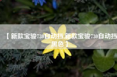 【新款宝骏730自动挡,新款宝骏730自动挡黑色】