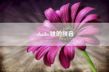 shade/啥的拼音 shade/啥的拼音