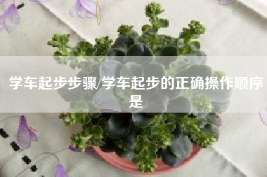 学车起步步骤/学车起步的正确操作顺序是