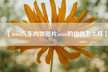 【mini汽车内饰图片,mini的内饰怎么样】