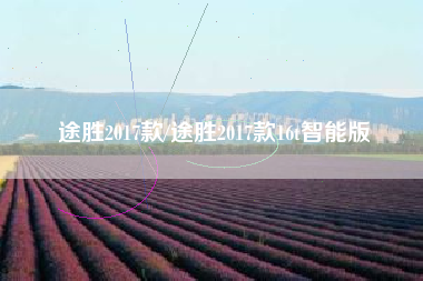 途胜2017款/途胜2017款16t智能版 途胜2017款/途胜2017款16t智能版