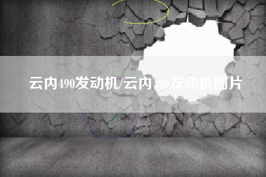 云内490发动机/云内490发动机图片