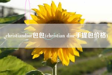 christiandior包包(christian dior手提包价格)