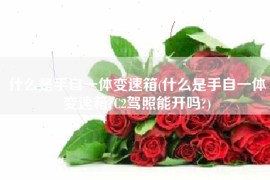 什么是手自一体变速箱(什么是手自一体变速箱?C2驾照能开吗?)