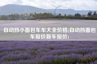 自动挡小面包车车大全价格(自动挡面包车报价新车报价) 自动挡小面包车车大全价格(自动挡面包车报价新车报价)