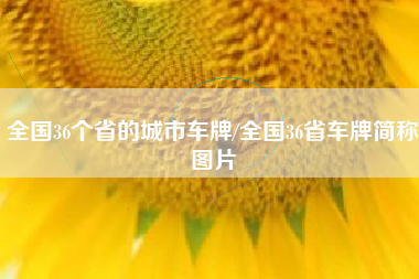 全国36个省的城市车牌/全国36省车牌简称图片