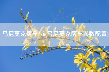 乌尼莫克房车6x6(乌尼莫克房车参数配置)