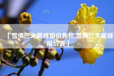 【雪佛兰大黄蜂报价售价,雪佛兰大黄蜂报价表】