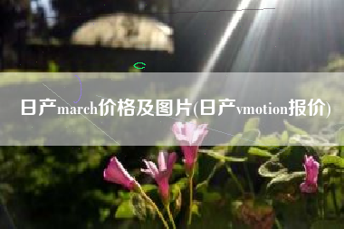 日产march价格及图片(日产vmotion报价)
