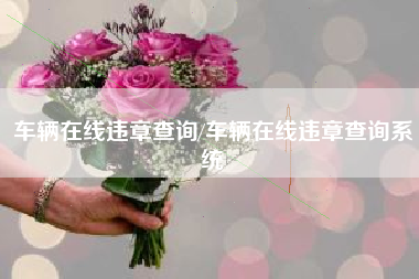 车辆在线违章查询/车辆在线违章查询系统 车辆在线违章查询/车辆在线违章查询系统