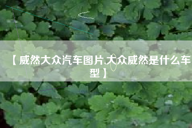 【威然大众汽车图片,大众威然是什么车型】