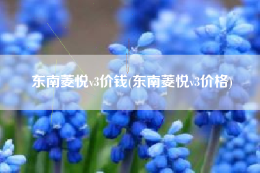 东南菱悦v3价钱(东南菱悦v3价格) 东南菱悦v3价钱(东南菱悦v3价格)