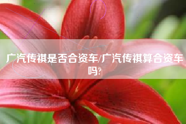 广汽传祺是否合资车/广汽传祺算合资车吗?