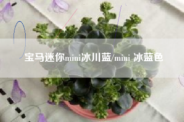 宝马迷你mini冰川蓝/mini 冰蓝色