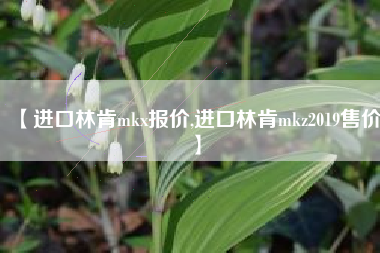 【进口林肯mkx报价,进口林肯mkz2019售价】