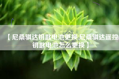 【尼桑骐达钥匙电池更换,尼桑骐达遥控钥匙电池怎么更换】 【尼桑骐达钥匙电池更换,尼桑骐达遥控钥匙电池怎么更换】